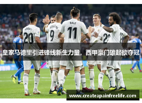 皇家马德里引进锋线新生力量，西甲豪门雄起欲夺冠